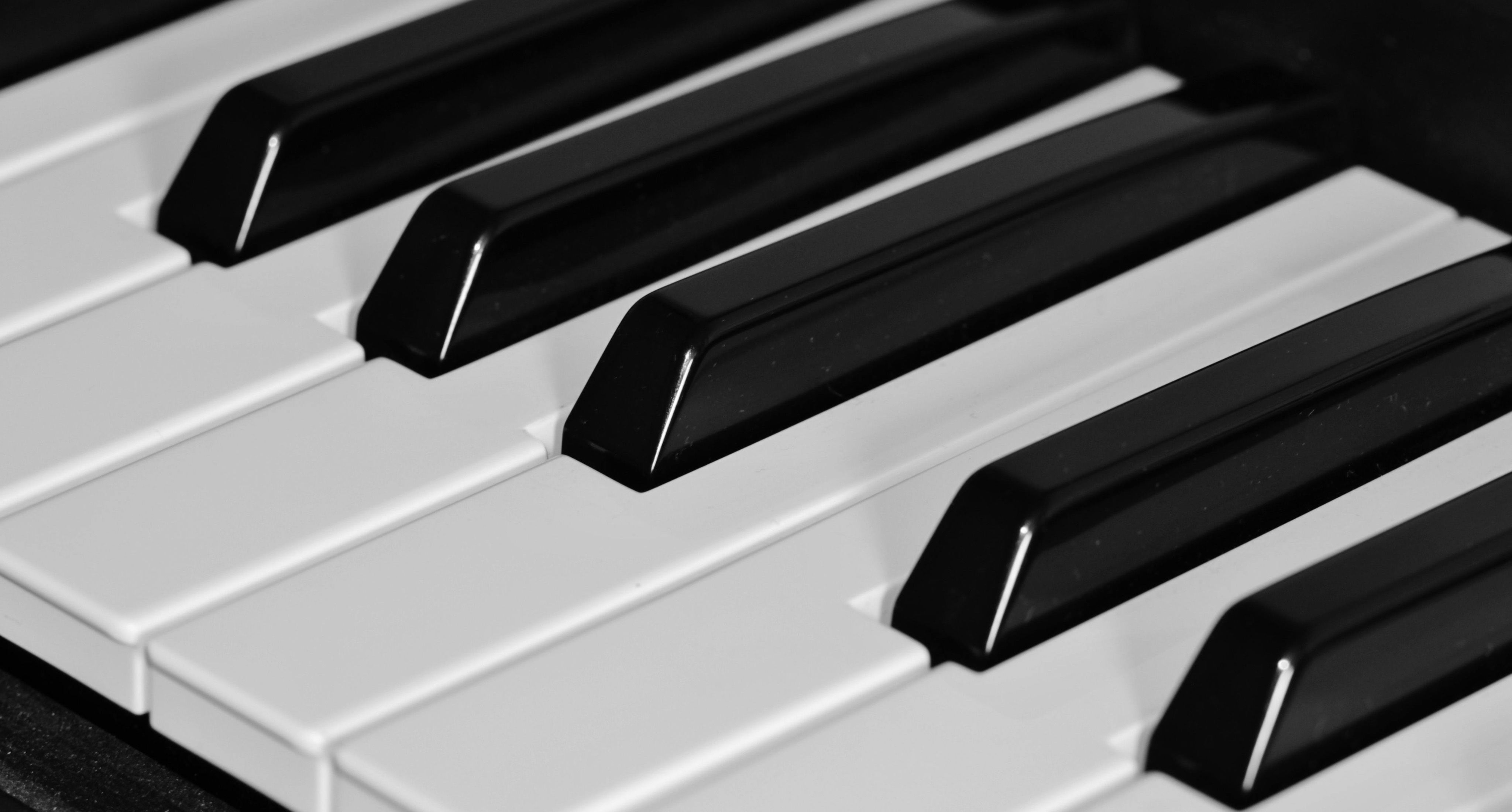pexels-pixabay-54615.jpg